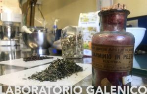 foto-farmacia-manca-2