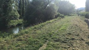 ripuliamo-le-aree-pubbliche-rieti (2)