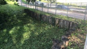 ripuliamo-le-aree-pubbliche-rieti (6)
