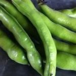 fave-pecorino-romano