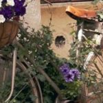 fiorile-2020-castelnuovo-di-farfa