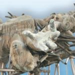 manifesto-6-giugno-bombardamento-borgo-rieti-monumento